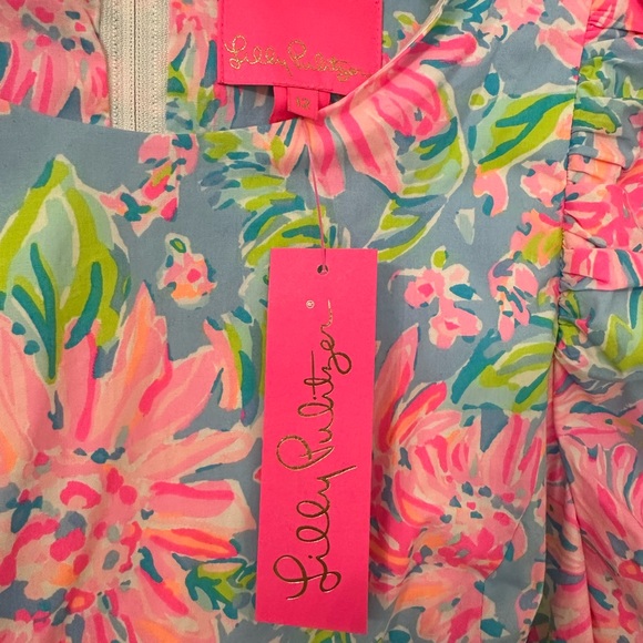 NWT Lily Pulitzer “Roni” short sleeve stretch style dress   👗 - Picture 7 of 8
